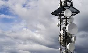 Microwave dishes